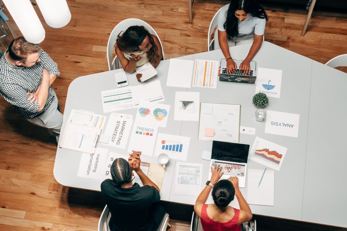 Professional document review and consultation